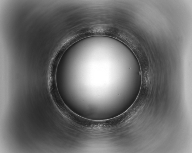 X0000093620728200710151300