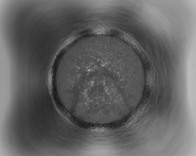 X0000093620730200710151300