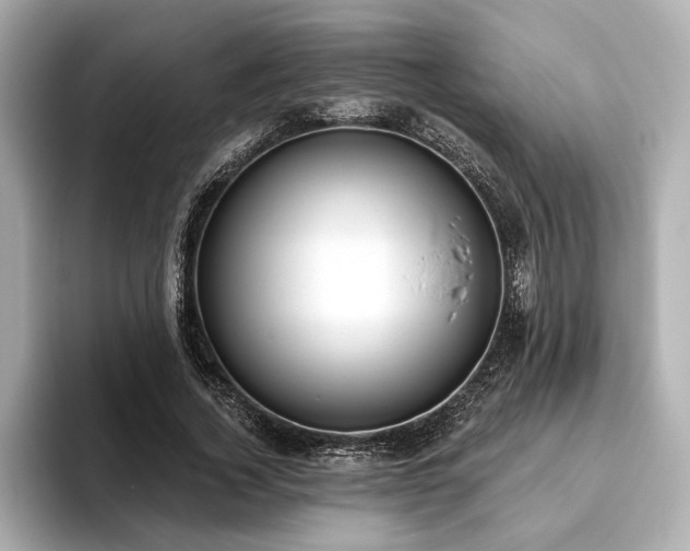 X0000093620732200710151300
