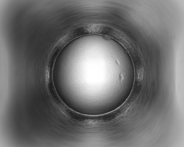 X0000093620733200710151300