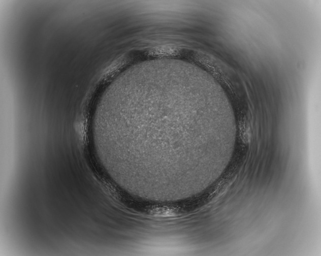 X0000093620735200710151300