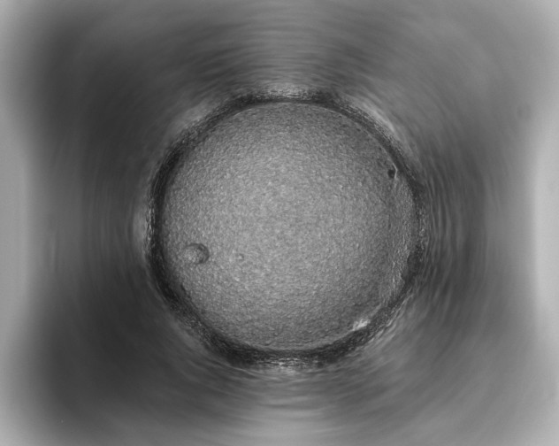 X0000093620736200710151300