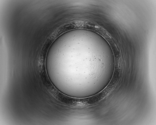 X0000093620737200710151300