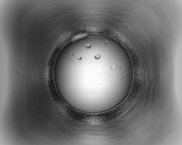 X0000093620738200710151300
