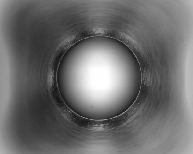 X0000093620740200710151300