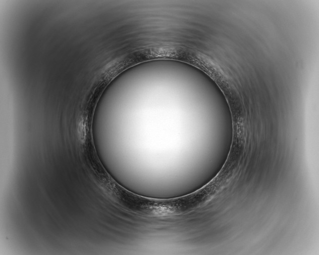 X0000093620741200710151300