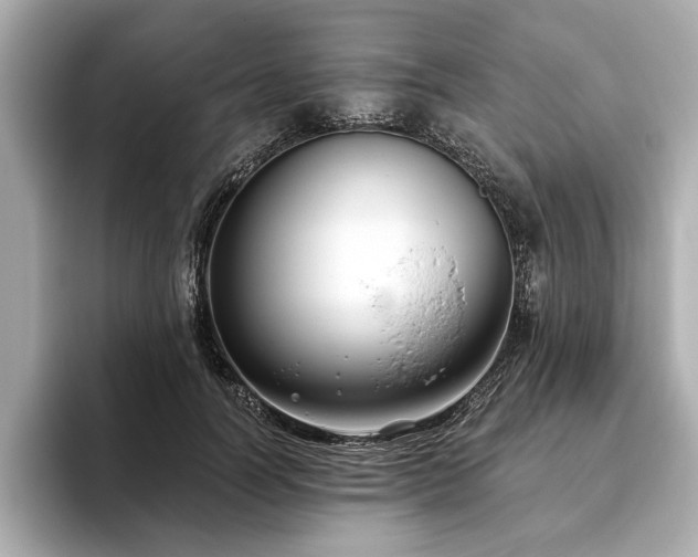 X0000093620746200710151300