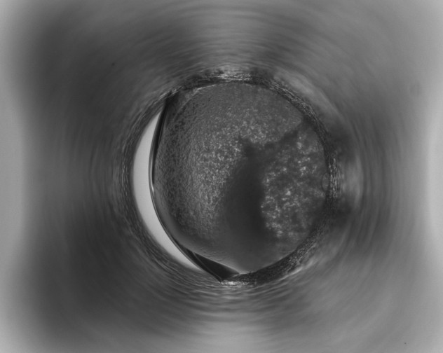 X0000093620748200710151300