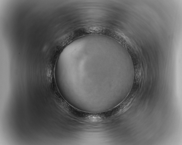X0000093620749200710151300