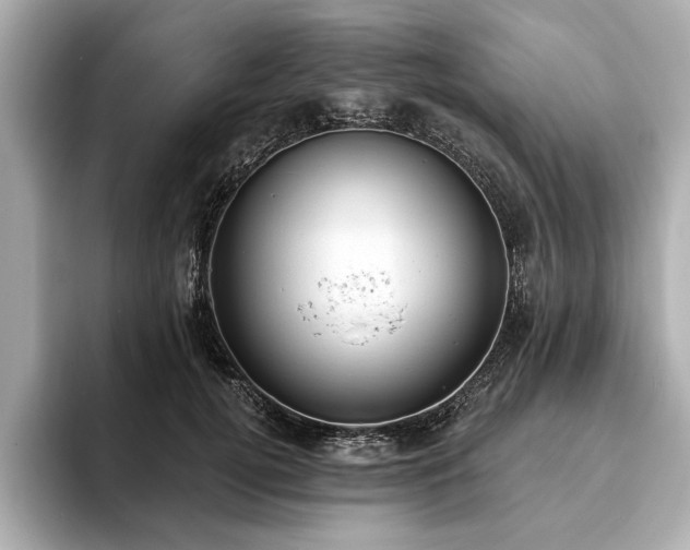 X0000093620752200710151300
