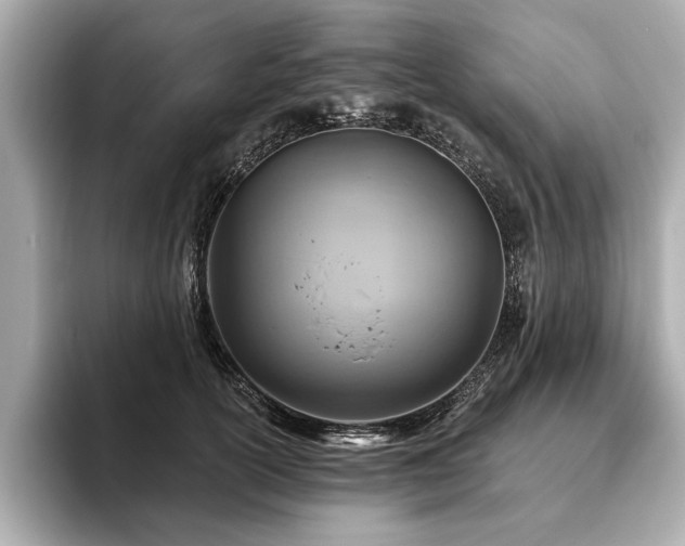 X0000093620754200710151300