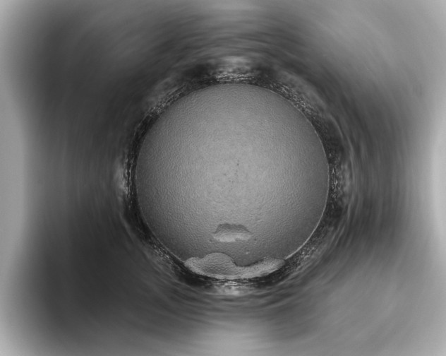 X0000093620755200710151300