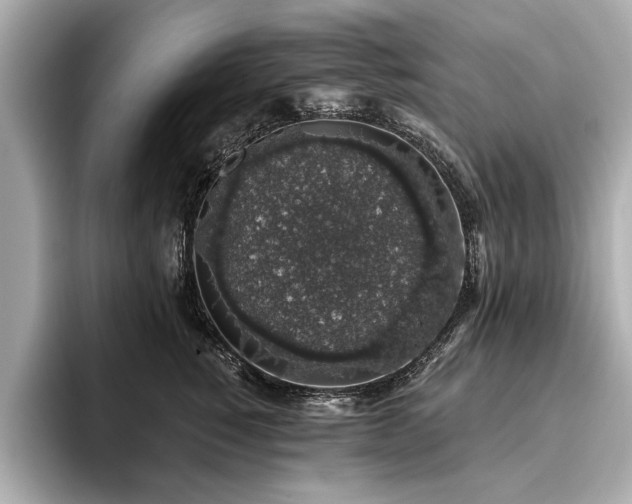 X0000093620760200710151300