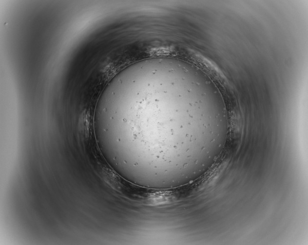 X0000093620761200710151300