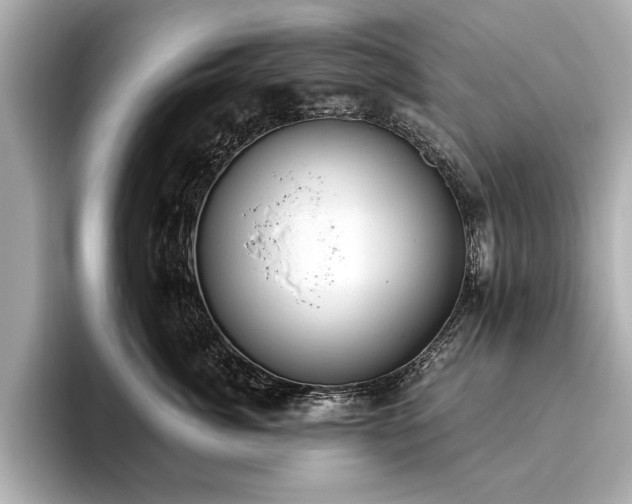X0000093620764200710151300