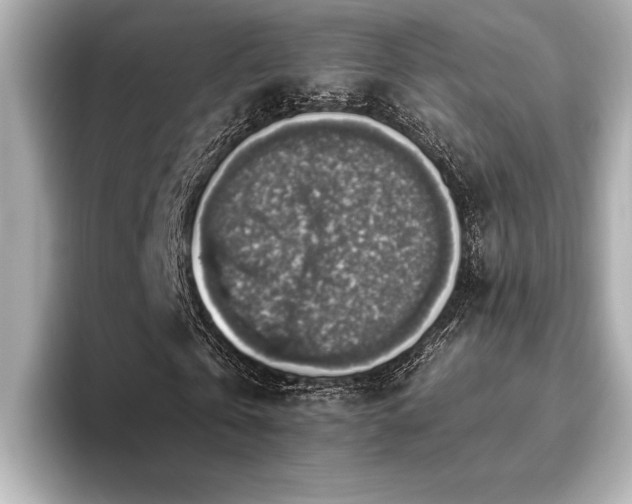 X0000093620769200710151300