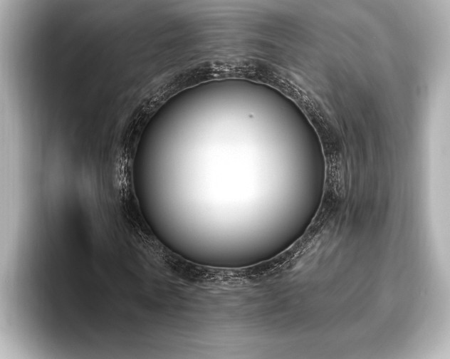X0000093620770200710151300