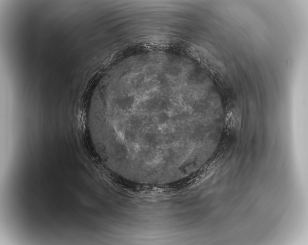 X0000093620772200710151300