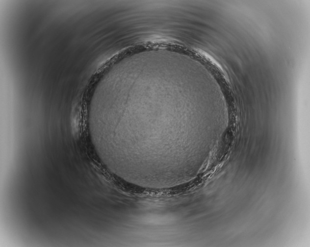 X0000093620775200710151300