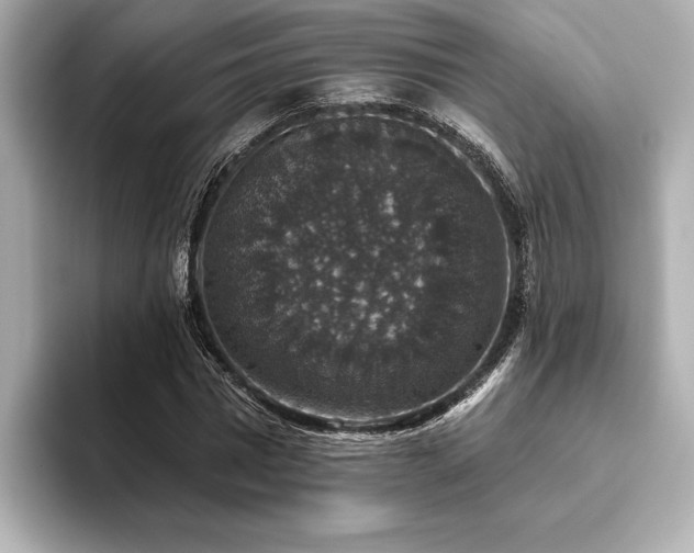 X0000093620777200710151300