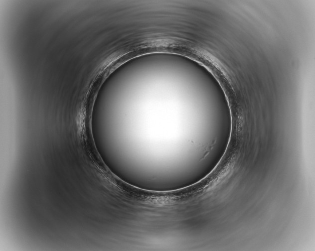 X0000093620778200710151300