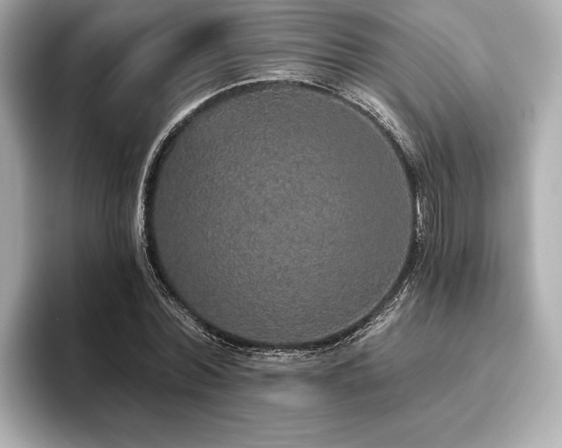 X0000093620780200710151300