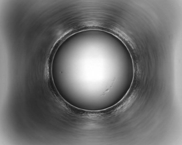 X0000093620782200710151300