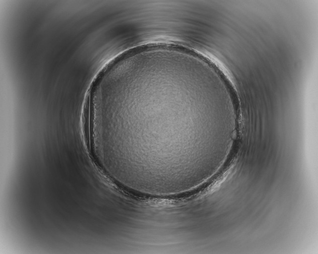 X0000093620783200710151300