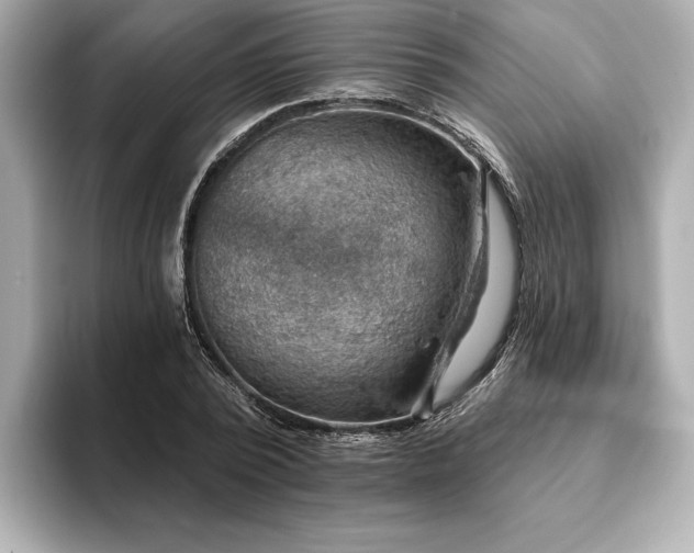 X0000093620784200710151300