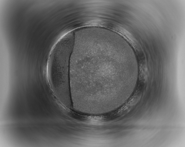 X0000093620788200710151300