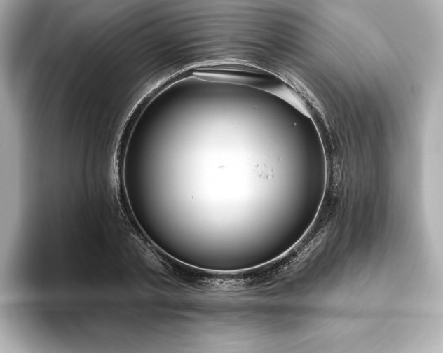 X0000093620789200710151300