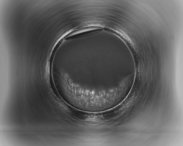 X0000093620790200710151300