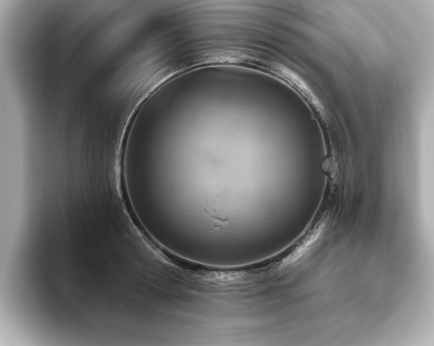 X0000093620802200710151300