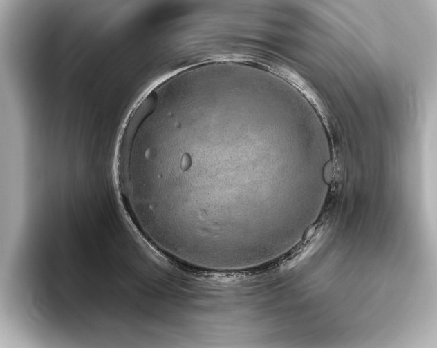 X0000093620803200710151300