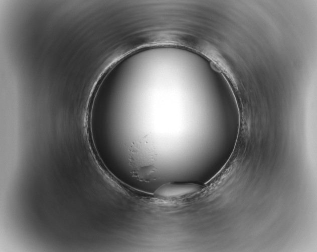 X0000093620805200710151300