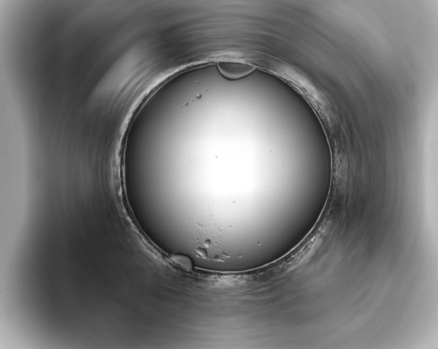 X0000093620808200710151300