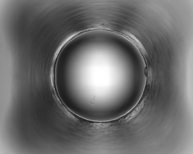 X0000093620812200710151259