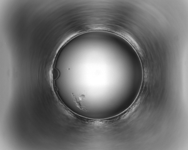 X0000093620814200710151259