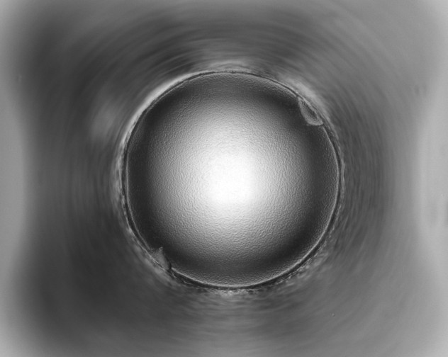 X0000093620816200710151259