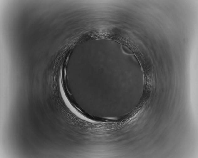 X0000093620818200710151259