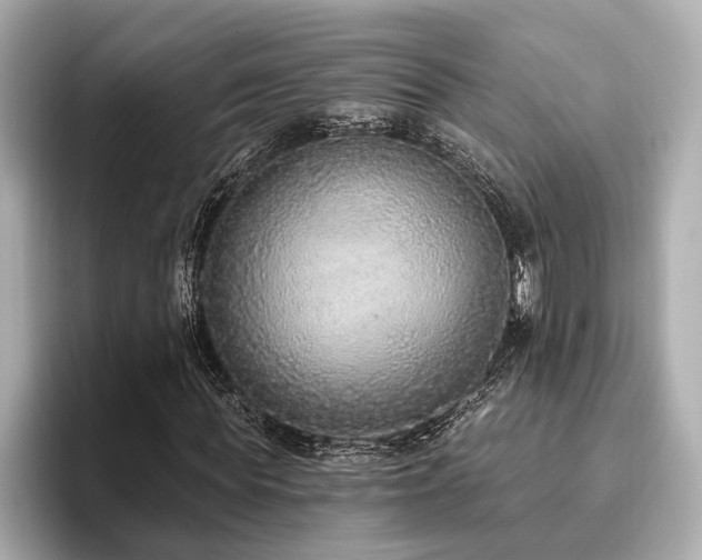 X0000093620819200710151259