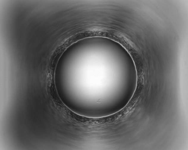 X0000093620821200710151259