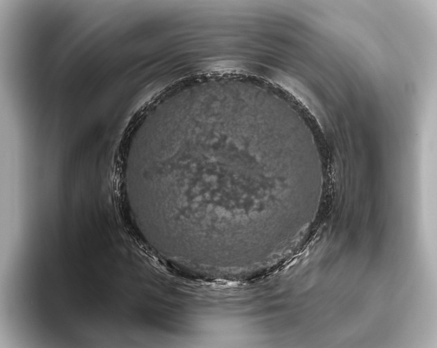 X0000093620823200710151259