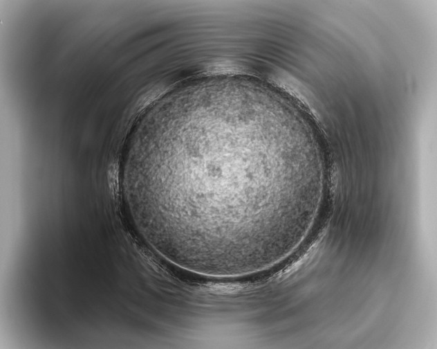 X0000093620825200710151259