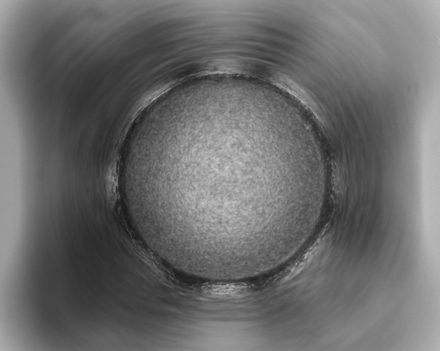 X0000093620826200710151259