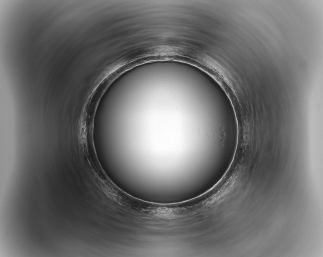 X0000093620827200710151259