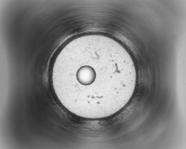 X0000093620828200710151259