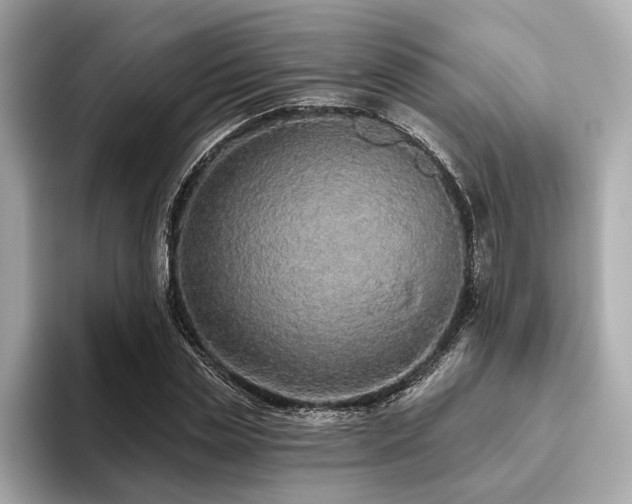 X0000093620829200710151259