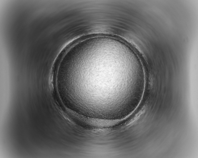 X0000093620830200710151259