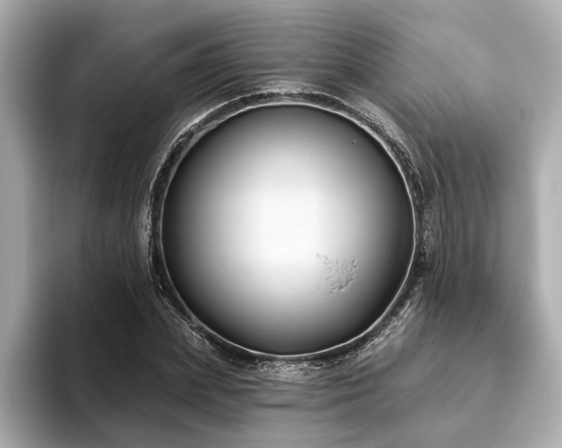 X0000093620831200710151259